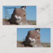 オリエンタルフリル 名刺 (正面/裏面)