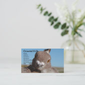 オリエンタルフリル 名刺 (スタンド正面)