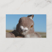 オリエンタルフリル 名刺 (裏面)