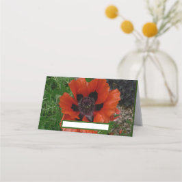 オリエンタルポピー プレイスカード