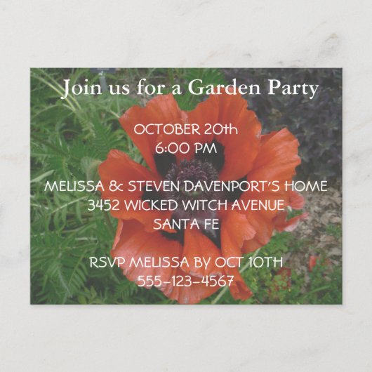 オリエンタルポピー ポストカード (正面)