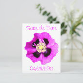 オリエンタルポピー「Save the Date」発表 白 招待状 (スタンド正面)