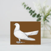 オリエンタルローラーピジョン飛んでいるタイプ ポストカード (スタンド正面)