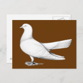 オリエンタルローラーピジョン飛んでいるタイプ ポストカード (正面/裏面)