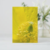 オリエンタル・イエロー・ポピー 招待状 (スタンド正面)