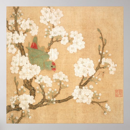 オリエンタル・チャイニーズ・オウムと梨の花 ポスター (正面)