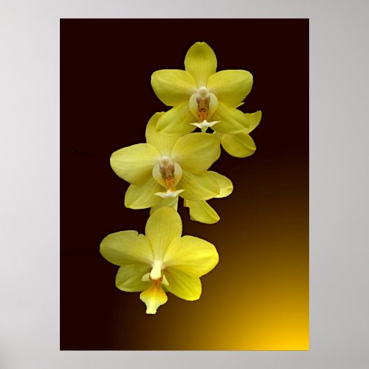 オリエンタルtouch ポスター (正面)