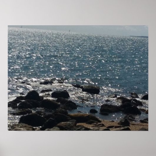 オリエント州パークビーチポスター ポスター (正面)