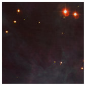 オリオン座星雲 天文学 青 茶色 ベージュ 空 星 ファブリック (見本)