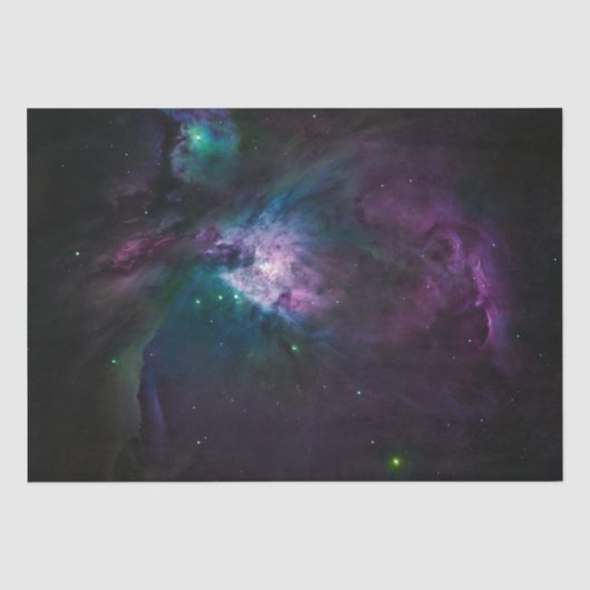オリオン星雲の暗いユニコーン 薄葉紙 (正面)