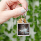 オリオン星雲の熱い若い星の植民地 キーホルダー (手)