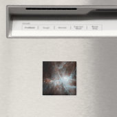 オリオン星雲の熱い若い星の植民地 マグネット (インサイチュ (食洗機))