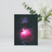 オリオン星雲2 ポストカード (スタンド正面)