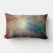 オリオン・スピッツァー・ハッブル合成図：宇宙のカオス ランバークッション (正面)