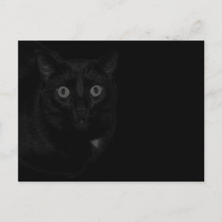 オリオン 私の猫 ブラックアウト ポストカード