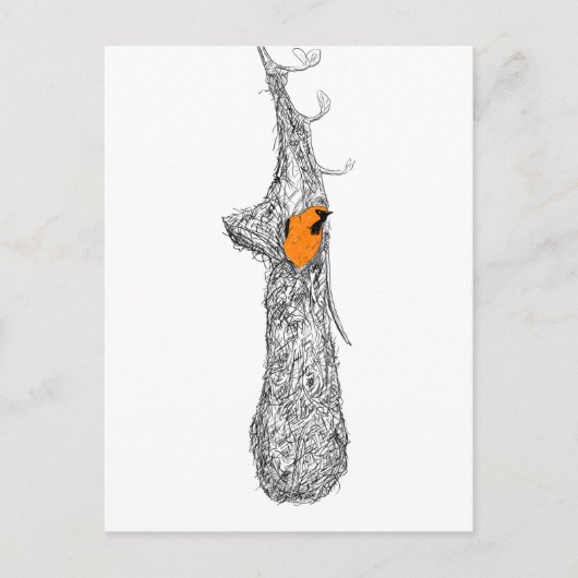 オリオールネスト ポストカード (正面)