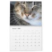 オリジナルのかわいい猫+子猫+ペットの写真カレンダー カレンダー (1月 2027)