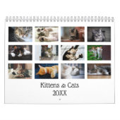 オリジナルのかわいい猫+子猫+ペットの写真カレンダー カレンダー (カバー)