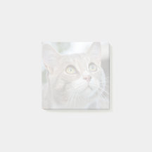 オリジナルのくすんだペットの写真ポストイットメモを簡単作成