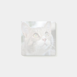 オリジナルのくすんだペットの写真ポストイットメモを簡単作成 ポストイット