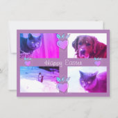 オリジナルのイースター写真カード カード (正面)