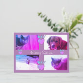 オリジナルのイースター写真 カード (スタンド正面)