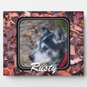 オリジナルのペットプレートを作成 フォトプラーク