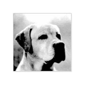 オリジナルのペット写真やその他の写真をパーソナライズ ラバースタンプ (インプリント)