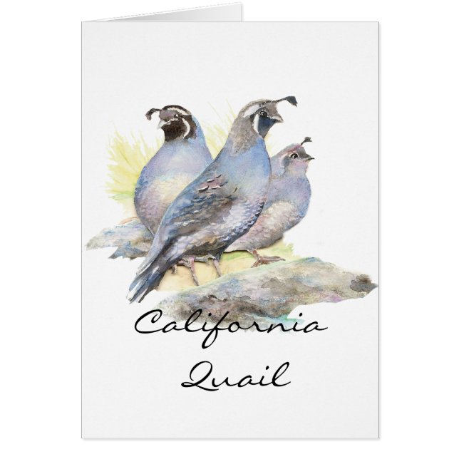 オリジナルの水の色カリフォルニアウイル。鳥 (正面)