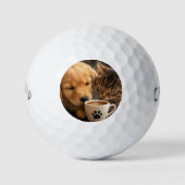 オリジナルの犬と猫のグッズを作ろう ゴルフボール (正面)