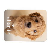 オリジナルの犬の名前入りフルフレーム写真 マグネット (横)