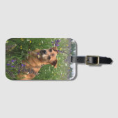 オリジナルの犬の画像 ラゲッジタグ (正面横)