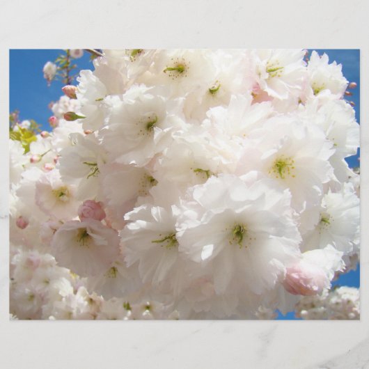 オリジナルの花の開花チラシ チラシ (正面)