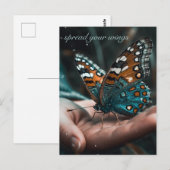 オリジナルの蝶のポストカード - 羽を広げて ポストカード (正面/裏面)