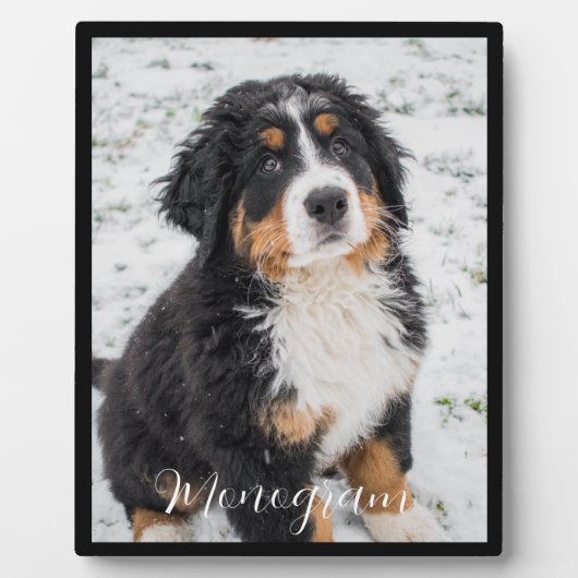 オリジナルを作成 |ペットカスタムの写真 フォトプラーク (正面)