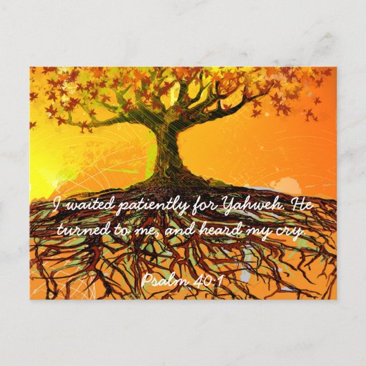 オリジナルアート – グ動揺してラングビューティエレガントー ポストカード (正面)