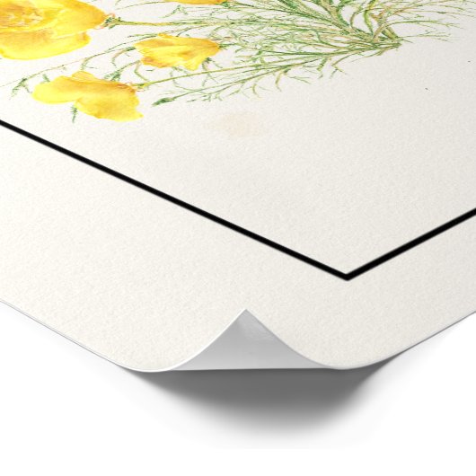 オリジナルウォーターカラーカリフォルニアウイルオス&メス ポスター (角)