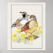 オリジナルウォーターカラーカリフォルニアウイルオス&メス ポスター (正面)