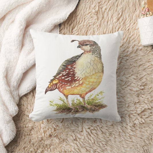 オリジナルウォーターカラーカリフォルニアウイルガーデンバード クッション (ブランケット)