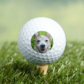 オリジナルゴルフボールに犬の写真をプリント ゴルフボール (インサイチュ 木)