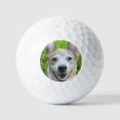 オリジナルゴルフボールに犬の写真をプリント ゴルフボール (正面)