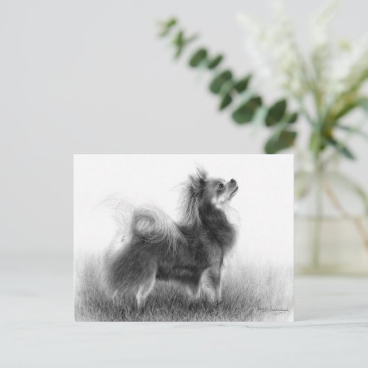 オリジナルチワ絵を描フアズ ポストカード (スタンド正面)