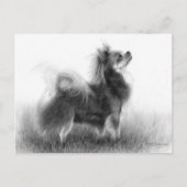 オリジナルチワ絵を描フアズ ポストカード (正面)