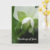 オリジナルデザインのカードテンプレート（カスタマイズ可能） カード (黄色い花)