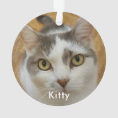 オリジナルペットファミリー写真テキストクリスマスホリデー オーナメント (裏面)