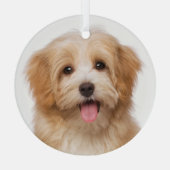 オリジナルペットフォト クリスマスホリデー ガラスオーナメント (裏面)