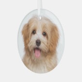 オリジナルペットフォト クリスマスホリデー ガラスオーナメント (正面左)