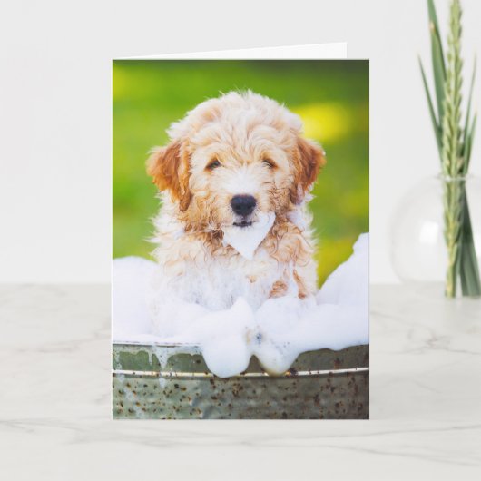 オリジナルペット写真のグリーティングカード カード (正面)