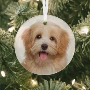 オリジナルペット写真クリスマスホリデー ガラスオーナメント