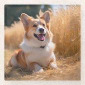 オリジナルペット写真 ガラスコースター (正面)